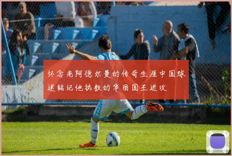 怀念老阿德尔曼的传奇生涯中国球迷铭记他执教的华丽国王进攻
