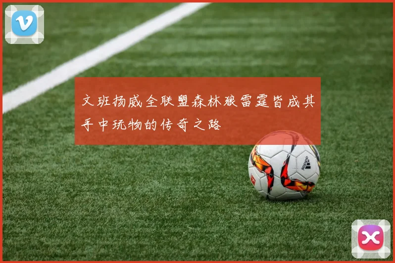 文班扬威全联盟森林狼雷霆皆成其手中玩物的传奇之路